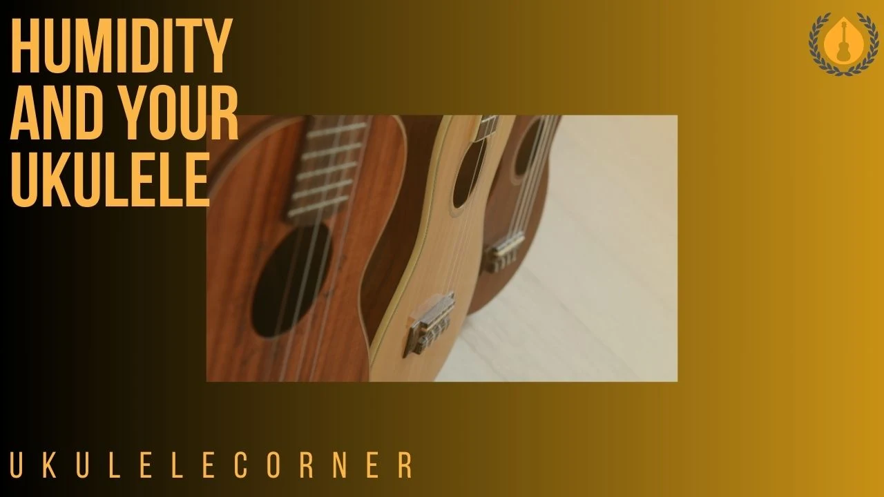 Humidity and your ukulele