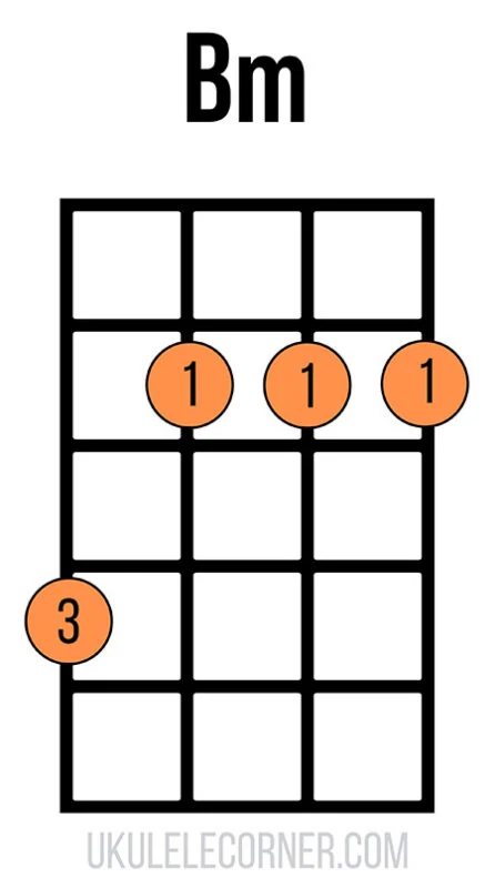 Bm Chord 2nd position 4222