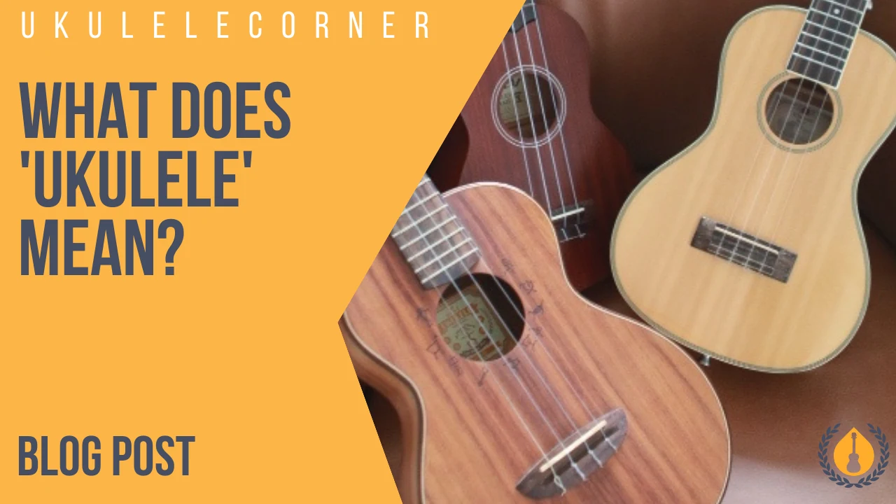 what does "ukulele" mean