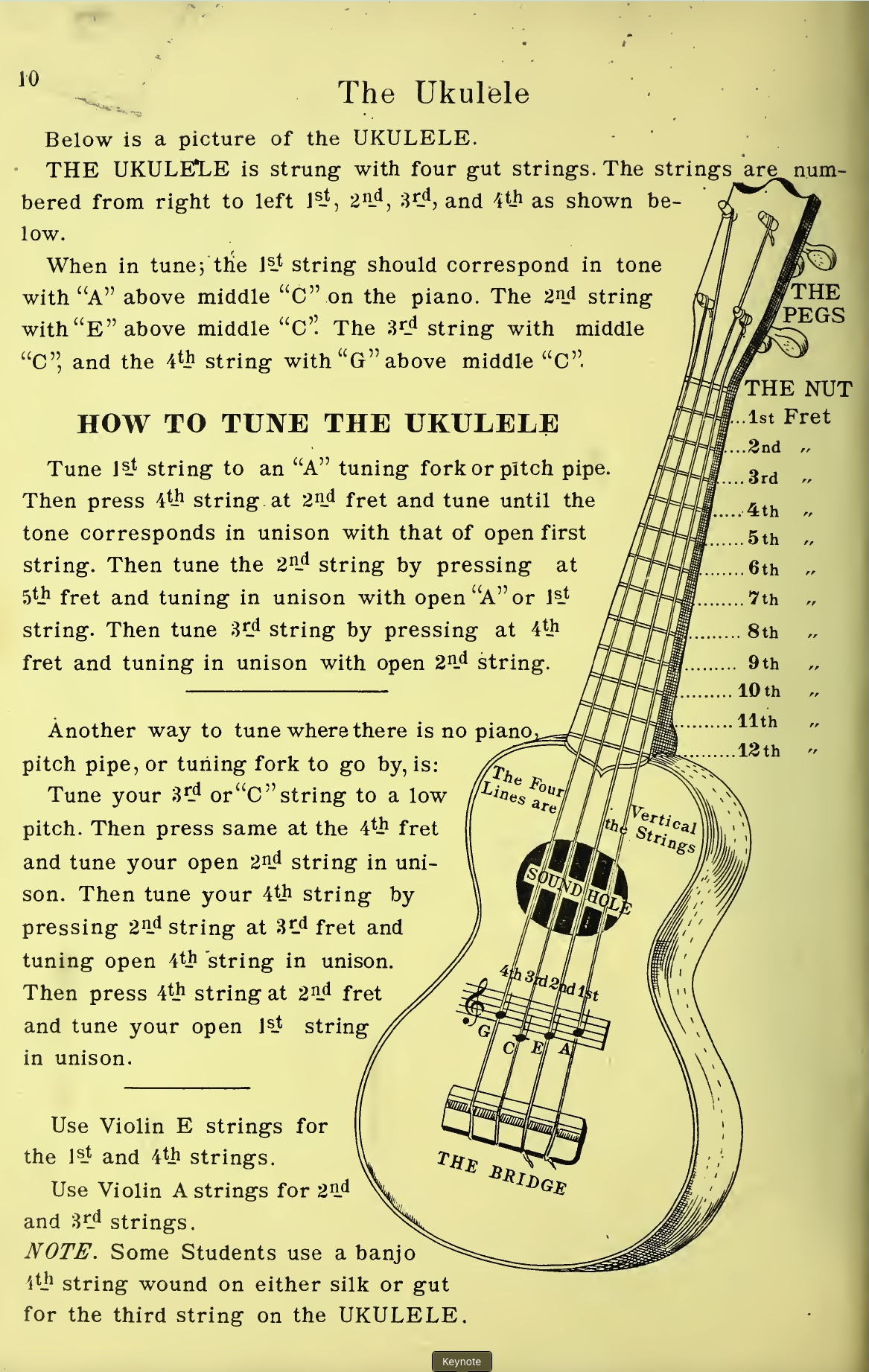 How to Tune an Ukulele from Peterson Ukulele Method